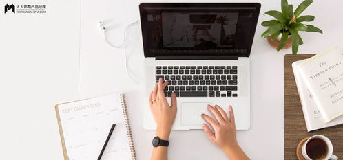 軟件外包服務的創新戰略與產品服務系統設計