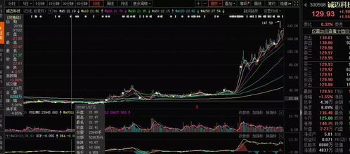 2019年，你可能錯(cuò)過(guò)的十大牛股 軟件外包服務(wù)篇